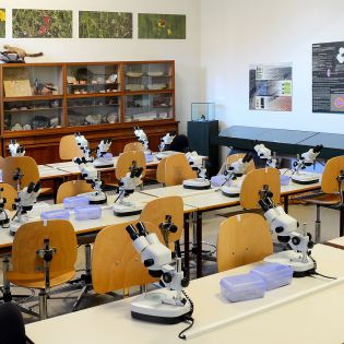 laboratorio-microscopi